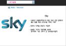 [통신과 매체]위성 TV,디지털 TV,문자 메시지(SMS),그림 메시지(MMS,지상파 TV,브랜드마케팅,서비스마케팅,글로벌경영,사례분석,swot,stp,4p 43페이지