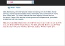 [통신과 매체]위성 TV,디지털 TV,문자 메시지(SMS),그림 메시지(MMS,지상파 TV,브랜드마케팅,서비스마케팅,글로벌경영,사례분석,swot,stp,4p 49페이지