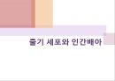 줄기 세포와 인간배아 (줄기 세포의 개념, 성체 줄기 세포, 배아 줄기 세포, 줄기세포의 장점, 배아 줄기 세포의 장점과 활용 사례, 성체 줄기 세포의 장점과 활용 사례 줄기세포 연구의 단점(문제점)).pptx
 1페이지
