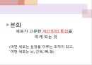 줄기 세포와 인간배아 (줄기 세포의 개념, 성체 줄기 세포, 배아 줄기 세포, 줄기세포의 장점, 배아 줄기 세포의 장점과 활용 사례, 성체 줄기 세포의 장점과 활용 사례 줄기세포 연구의 단점(문제점)).pptx
 4페이지