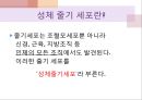 줄기 세포와 인간배아 (줄기 세포의 개념, 성체 줄기 세포, 배아 줄기 세포, 줄기세포의 장점, 배아 줄기 세포의 장점과 활용 사례, 성체 줄기 세포의 장점과 활용 사례 줄기세포 연구의 단점(문제점)).pptx
 9페이지