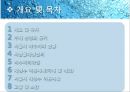 재생수 활용방안-서울시 하수처리 현황,재생수 이용계획(국내 및 해외) 2페이지