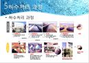 재생수 활용방안-서울시 하수처리 현황,재생수 이용계획(국내 및 해외) 11페이지