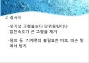 재생수 활용방안-서울시 하수처리 현황,재생수 이용계획(국내 및 해외) 13페이지