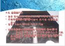 재생수 활용방안-서울시 하수처리 현황,재생수 이용계획(국내 및 해외) 15페이지