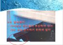 재생수 활용방안-서울시 하수처리 현황,재생수 이용계획(국내 및 해외) 18페이지