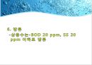 재생수 활용방안-서울시 하수처리 현황,재생수 이용계획(국내 및 해외) 19페이지