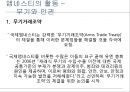 [인권과 국제기구]앰네스, UN국제난민기구,국경 없는 이사회,UN여성기구 13페이지