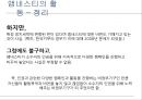 [인권과 국제기구]앰네스, UN국제난민기구,국경 없는 이사회,UN여성기구 22페이지