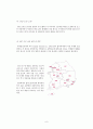 [크리스피 크림 분석]던킨 도넛 분석,크리스피 크림 기업분석,크리스피 크림 마케팅전략사례,브랜드마케팅,서비스마케팅,글로벌경영,사례분석,swot,stp,4p 6페이지