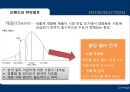 [르네셀, 어디로 가야 하는가?]쥬비코스 & 르네셀,마케팅 전략(팝업 스토어,파워 블로그,코디 서비스) 12페이지