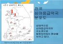 [편의점 의약 판매]심야응급약국 제도의 개념과 문제점,편의점 의약 판매의 해결책 9페이지