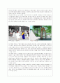 중국인 관광객 유치전략-중국인의 관광 추세,관광마케팅전략사례,한류마케팅 17페이지