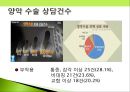 소비자 피해사례-숙박시설,성형수술,소셜커머스,스미싱,식품 피해사례 ppt자료 16페이지