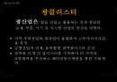 자원경제학-전라북도의 자원, 생활수준, 자원활용,브랜드마케팅,서비스마케팅,글로벌경영,사례분석,swot,stp,4p 42페이지