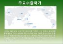진로의 일본 해외직접투-진로그룹소개,진로의 해외시장 진출,진로 일본시장 진출현황,일본시장 분석,일본시장 성공요인 6페이지