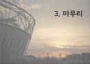 중국의산업혁명-영국산업혁명,산업혁명실패사례,해외시장개척사례 23페이지