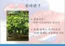코카콜라vs펩시-코카콜라와 펩시의 역사,코카콜라와 펩시의 마케팅 전략,비교광고,브랜드마케팅,서비스마케팅,글로벌경영,사례분석,swot,stp,4p 3페이지