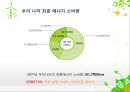환경행정론-에너지 절약 정책,해외의 에너지 절약 정책(미국,일본,민간차원) 6페이지