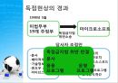 [정보사회를 어떻게 볼 것인가]테크놀로지와 사회변동의 관계,기술결정론과 사회구조론,사회체제의 연속성- 단절론과 연속론 24페이지