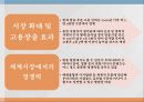 종편의 문제와 개선 방안 4페이지