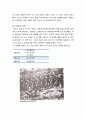 [한국민족운동사] 1920년대의 항일전쟁 - 봉오동승첩, 삼둔자전투, 봉오동대첩, 청산리전투, 백운평전투, 어랑촌전투, 고동하곡전투, 인물조사(김좌진, 홍범도) 6페이지