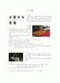 팔레스타인 13페이지