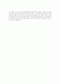 팔레스타인 33페이지