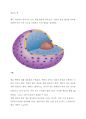 세포의 핵_핵막 1페이지