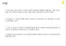 세월호 참사와 한국재난대응 시스템의 문제점! 3페이지