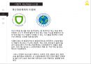 세월호 참사와 한국재난대응 시스템의 문제점! 11페이지