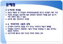 우리나라 선거 제도의 문제점 6페이지