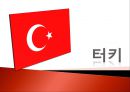 터키와 한국의 국제관계[6.25전쟁 2002 월드컵] 7페이지
