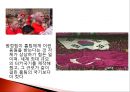 터키와 한국의 국제관계[6.25전쟁 2002 월드컵] 16페이지