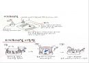 터키와 한국의 국제관계[6.25전쟁 2002 월드컵] 33페이지