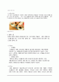 캐리비안베이 vs 오션월드 마케팅전략 비교분석 및 오션월드,캐리비안베이 브랜드분석및 SWOT분석과 새로운 마케팅전략제안 8페이지
