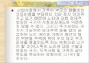 노인복지 23페이지