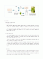 LIGHT Biotech Business 5페이지