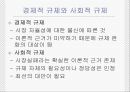 경제적 규제와 사회적 규제 4페이지