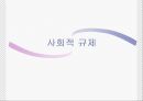 경제적 규제와 사회적 규제 16페이지
