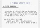 경제적 규제와 사회적 규제 17페이지