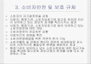 경제적 규제와 사회적 규제 30페이지