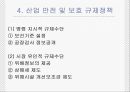 경제적 규제와 사회적 규제 32페이지