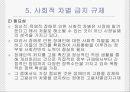 경제적 규제와 사회적 규제 36페이지