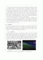 ‘똘이장군 -영화가 우리를 만든다-  6페이지