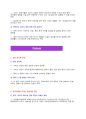 이슈_이라크 내전 격화 10페이지