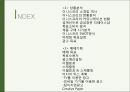 이니스프리 innisfree 마케팅 커뮤니케이션 전략분석과 이니스프리 광고전략 제안 PPT 2페이지