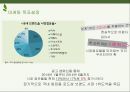 이니스프리 innisfree 마케팅 커뮤니케이션 전략분석과 이니스프리 광고전략 제안 PPT 14페이지