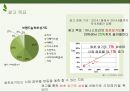 이니스프리 innisfree 마케팅 커뮤니케이션 전략분석과 이니스프리 광고전략 제안 PPT 15페이지