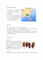 [한국문화사] 쌀의 역사 - 쌀, 농사, 쌀의 원산지 및 전파경로, 쌀의 어원, 쌀농사의 시작, 철의 사용과 우경, 조선후기 이앙법과 조선사회의 변화, 일제의 쌀 수탈정책 2페이지